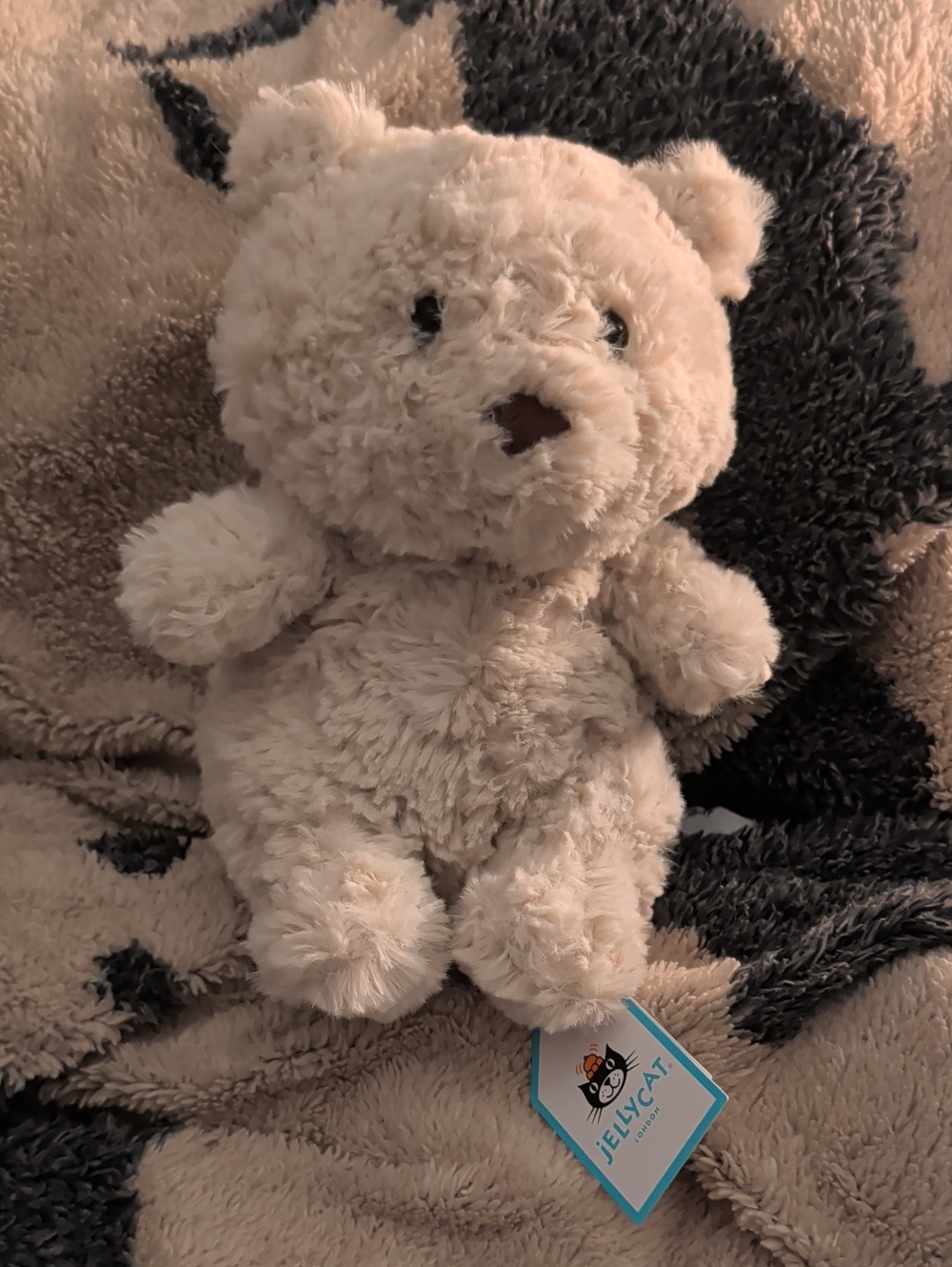 Jellycat Cream Plush Teddy Bear - Soft Floppy Stuffed Animal